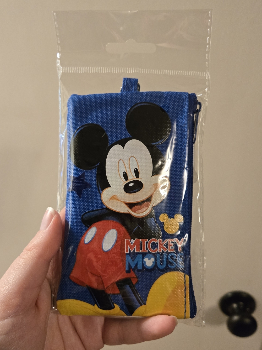 Disney Mickey Mouse Zipper Pouch With Lanyard